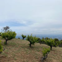 Photo taken at Ridge Vineyards - Monte Bello by Jason D. on 6/10/2023