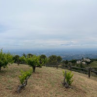 Photo taken at Ridge Vineyards - Monte Bello by Jason D. on 6/10/2023