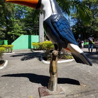 Photo taken at Jardim Zoológico do Rio de Janeiro by Wellington M. on 9/2/2018