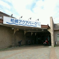 新潟県立 柏崎アクアパーク Havuz 新潟県立 柏崎アクアパーク Havuz
