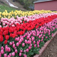 ノルンみなかみフラワーガーデン 寺間479 139 ノルンみなかみフラワーガーデン 寺間479 139