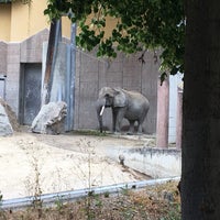 Photo taken at Schönbrunn Zoo by Maryam A. on 6/26/2018