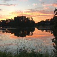 Das Foto wurde bei Białowieski Park Narodowy von Dmitry K. am 6/28/2018 aufgenommen