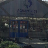 visiting an aquaponic sustainable farm green eatz