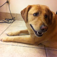 9/17/2012にEmily B.がFlanders Veterinary Clinicで撮った写真