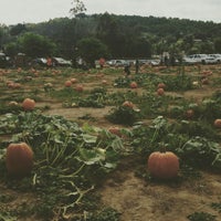 Photos At Mountain Valley Ranch Pumpkin Patch Farm