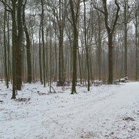 Photo taken at Volksdorfer Wald by Fabian B. on 2/25/2018