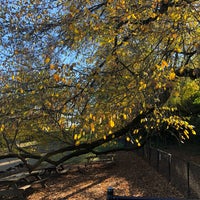 Photo taken at Fort Tryon Park Dog Run by Alan S. on 10/23/2019
