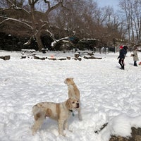 Photo taken at Fort Tryon Park Dog Run by Alan S. on 3/22/2018