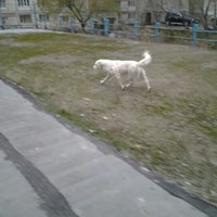 Photo taken at Dog walking by Sasha T. on 10/22/2012