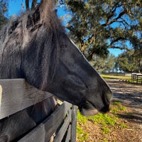 Photo prise au Gypsy Gold Horse Farm par Xaarlin le1/7/2023