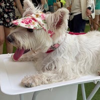 Photo taken at Dog Run @ Bishan Park by lynnder on 6/18/2022