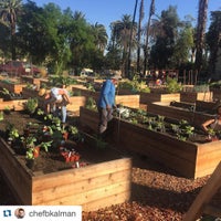 Photo taken at Pasadena Community Garden by Geri M. on 10/30/2015