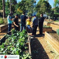 Photo taken at Pasadena Community Garden by Geri M. on 11/25/2015