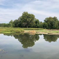 Photo taken at Murphy Lake - Forest Park by Jamie on 9/15/2019