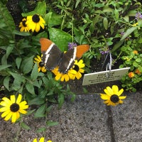 4/10/2017에 Anne Marie H.님이 Audubon Butterfly Garden and Insectarium에서 찍은 사진