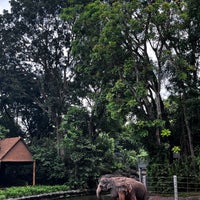 Foto scattata a Singapore Zoo da .AO. il 6/6/2023