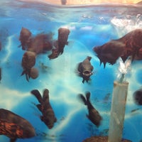 Photo taken at Allan&amp;#39;s Aquarium &amp;amp; Pet Center by Christina M. on 3/9/2013