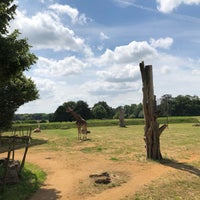 Photo taken at Cotswold Wildlife Park by Michael G. on 7/10/2019