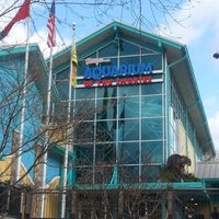 3/27/2013에 Alyssa M.님이 Ripley&amp;#39;s Aquarium of the Smokies에서 찍은 사진
