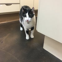 5/2/2018에 Dolly C.님이 The Family Pet Clinic에서 찍은 사진