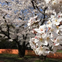 Photo taken at 見えない貯水池 by nyamo 0. on 3/26/2021