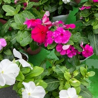 ビバホーム 草加店 4 Tips From 784 Visitors