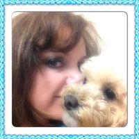 1st Pet Veterinary Centers North Valley Phoenix Az