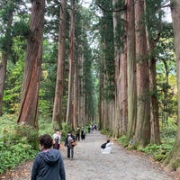 戸隠神社 奥社杉並木 長野市 長野県 戸隠神社 奥社杉並木 長野市 長野県