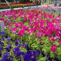 Photo taken at Lowe&amp;#39;s by Sue B. on 4/17/2013