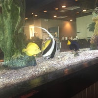 Photo taken at The Jellyfish Restaurant by Belynda B. on 4/6/2016
