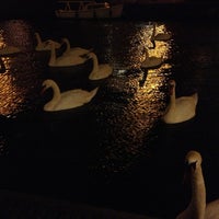 Photo taken at swan lake by Nadzeja D. on 12/30/2012