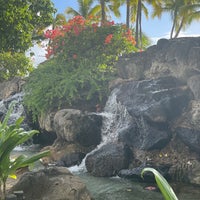 12/24/2023 tarihinde Rose P.ziyaretçi tarafından Waikiki Beach Services'de çekilen fotoğraf