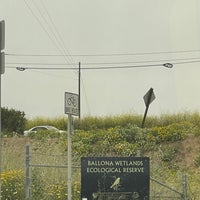 Photo taken at Ballona Freshwater Marsh by Rose P. on 5/13/2023