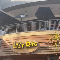 Photo taken at Lazy Dog Restaurant &amp;amp; Bar by Rose P. on 1/6/2024