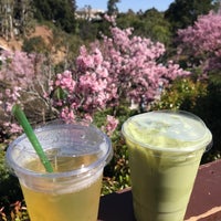 3/15/2022 tarihinde Winnie R.ziyaretçi tarafından The Tea Pavillion at the Japanese Friendship Garden'de çekilen fotoğraf