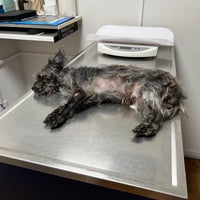 Photos at Americas Animal Clinic, Inc. - 1 tip from 3 visitors Photos at Americas Animal Clinic, Inc. - 1 tip from 3 visitors
