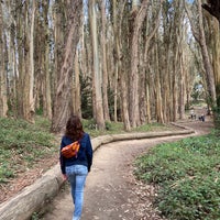 photo Lovers Lane Presidio San Francisco foursquare
