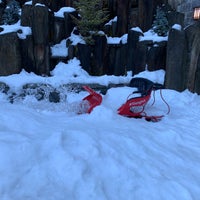 Photo taken at The Westin Resort &amp;amp; Spa, Whistler by Nora E. on 1/18/2019