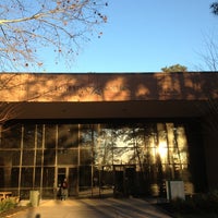 lone kingwood college star