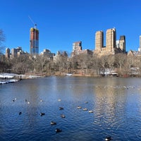 Photo taken at Bow Bridge by Mitchell L. on 2/19/2024