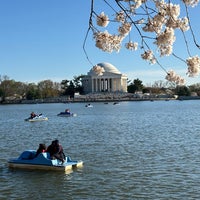 Photo taken at Tidal Basin by Mitchell L. on 3/25/2024