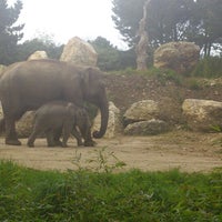 รูปภาพถ่ายที่ Zoo de Pont Scorff โดย kevin l. เมื่อ 4/28/2013