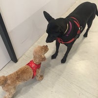 杜克動物醫院duke Veterinary Clinic Da An Qu 0 Tips