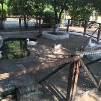 9/2/2015에 Onur B.님이 Çim Kahvaltı &amp;amp; Mangal Bahçesi에서 찍은 사진
