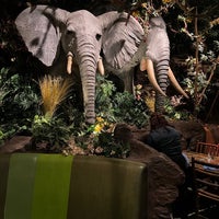 Photo taken at Rainforest Cafe by David B. on 4/12/2023