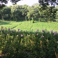 Photo taken at ゆり園 by m m. on 7/9/2017