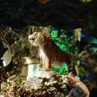 Photo taken at Rainforest Cafe by Don C. on 1/16/2017