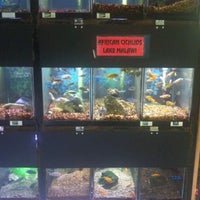 Photo taken at Sandy&amp;#39;s Pet Shop by Casey M. on 11/11/2012