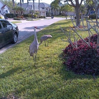 Photo taken at City of Venice, FL by Mitra E. on 3/15/2013